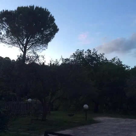 Il Frassino Couette-café *