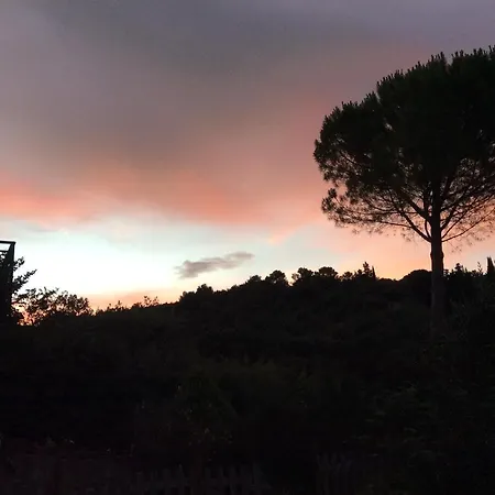 Couette-café Il Frassino