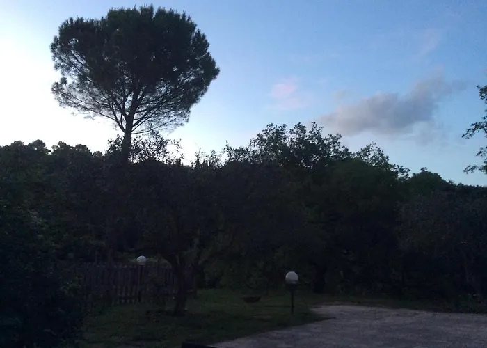 Il Frassino Bed & Breakfast *