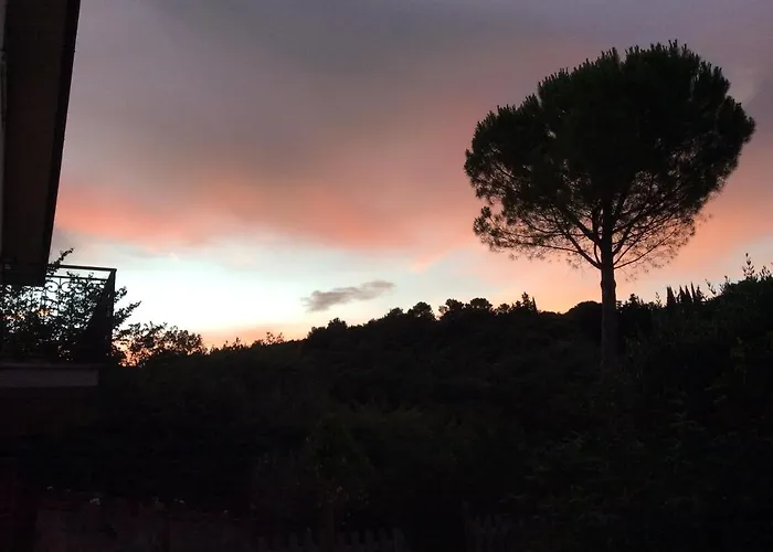 Bed & Breakfast Il Frassino