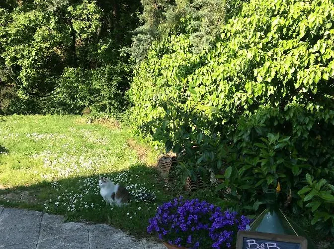 Bed & Breakfast Il Frassino