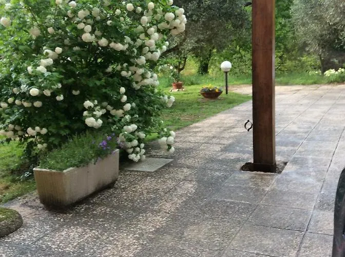 Il Frassino Bed & Breakfast *