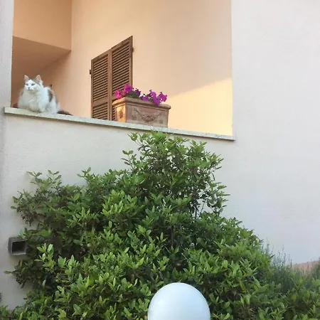 Il Frassino 佩鲁贾