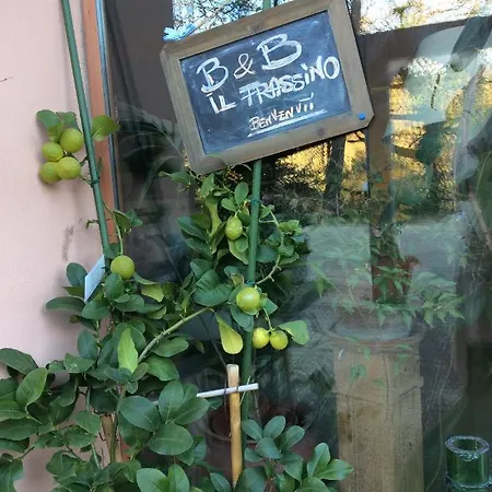 Il Frassino Frühstückspension Perugia