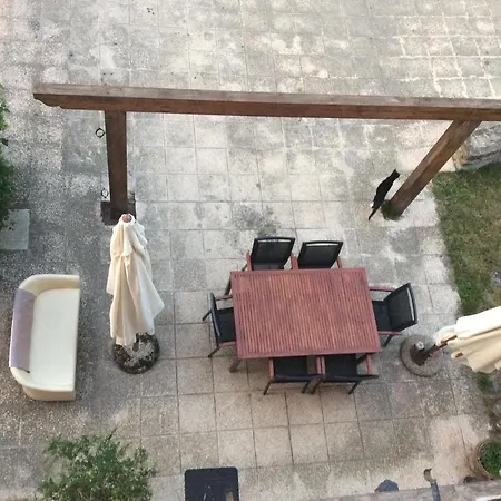 Il Frassino *