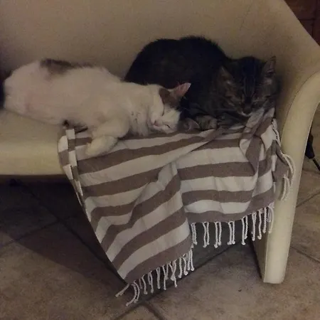 Oda ve Kahvaltı Il Frassino