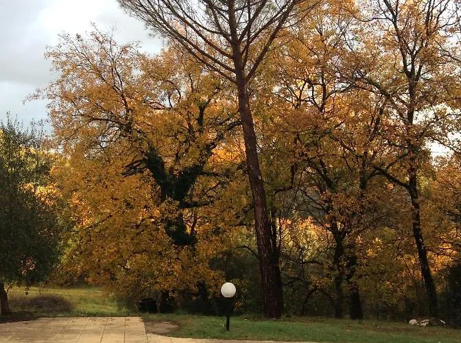 Il Frassino * Perúgia