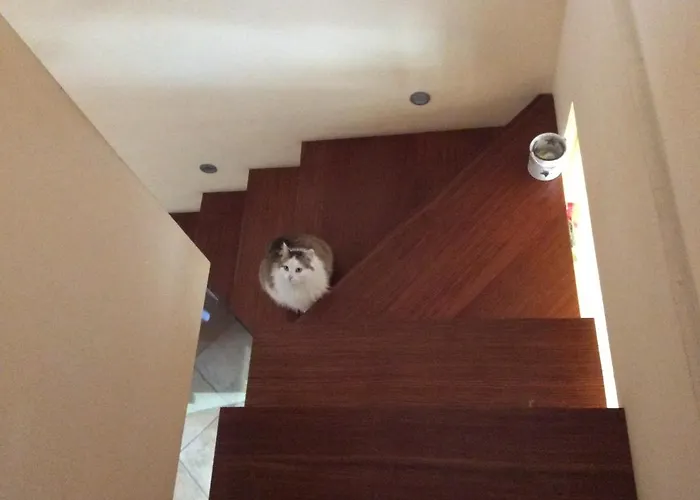 Alojamento de Acomodação e Pequeno-almoço Il Frassino Perúgia