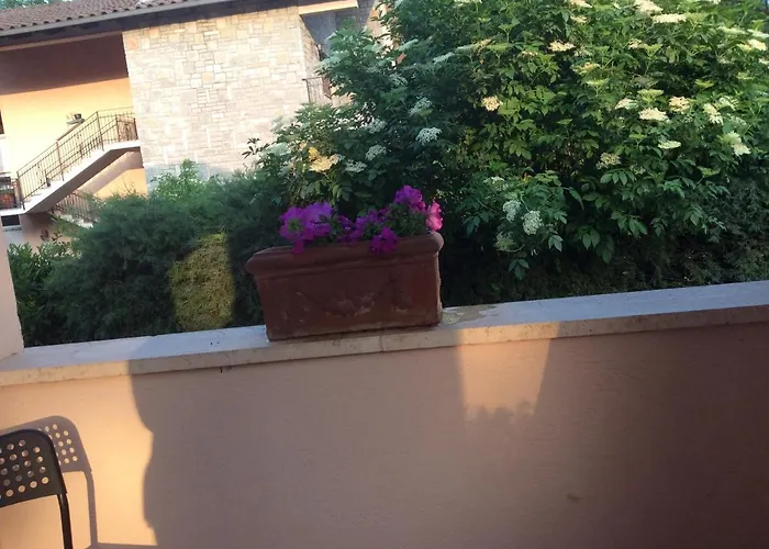 Bed & Breakfast Il Frassino