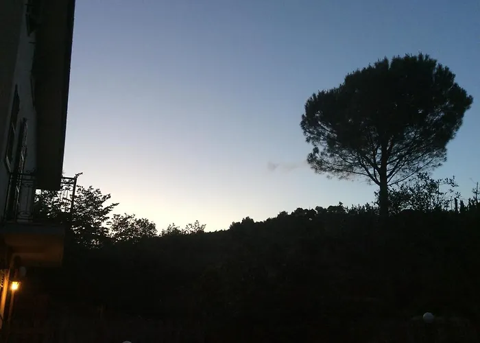 Bed & Breakfast Il Frassino