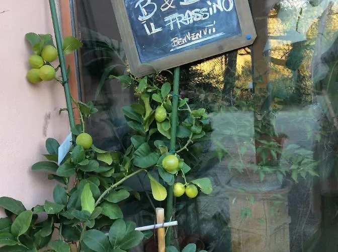Il Frassino Bed & Breakfast Perugia